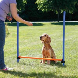 Trixie Agility hund Hurdle Hopphinder...jpg